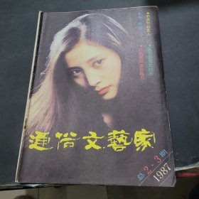 通俗文艺家1987年第2第3期