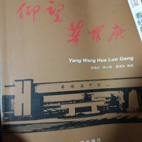 仰望华罗庚