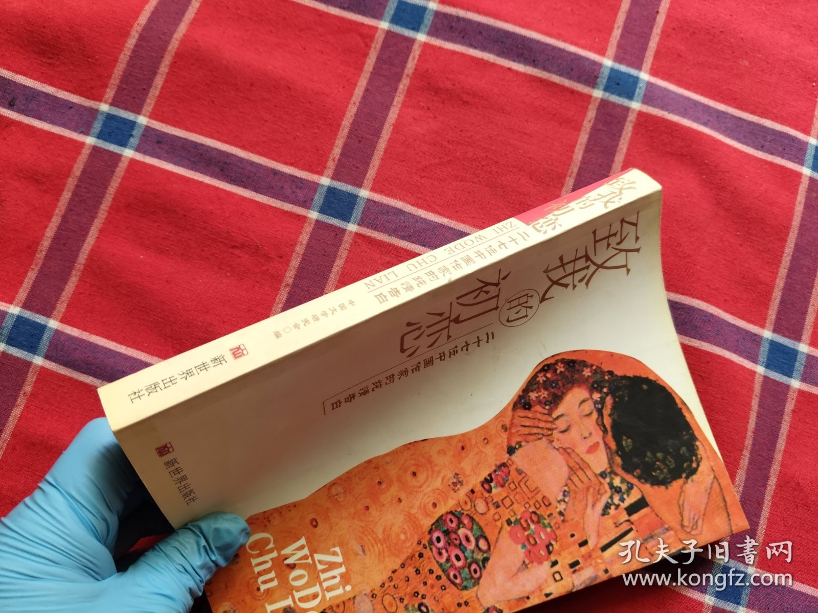 致我的初恋：二十七位中国作家的纯情告白