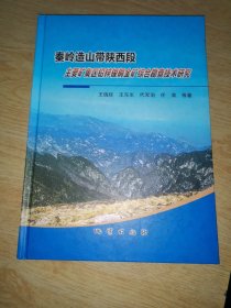 秦岭造山带陕西段主要矿集区铅锌银铜金矿综合勘查 技术研究