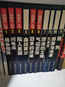 《二战画史》丛书（全1--10卷）