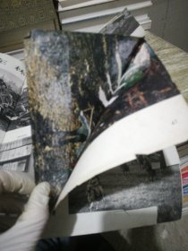 人民画报 1973 12【23-26页缺失,内页粘连破损内容有缺失】