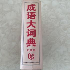 成语大词典（彩图版）