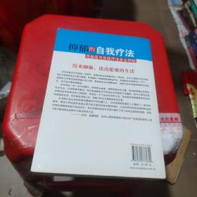 抑郁的自我疗法：用接受与实现疗法走出抑郁