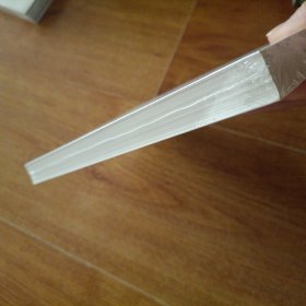 辩控攻略：刑事律师胜诉之道