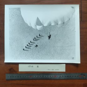 超大尺寸：1979年，高明律摄影《示范》获第二届全国体育摄影竞赛二等奖，跳伞