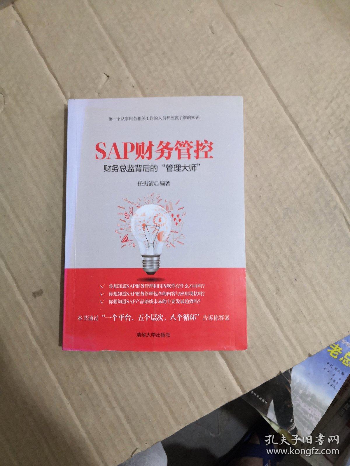 SAP财务管控：财务总监背后的“管理大师”