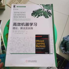 高效机器学习：理论、算法及实践