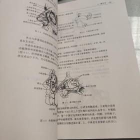 高等医学院校选用教材：中医耳鼻喉科学