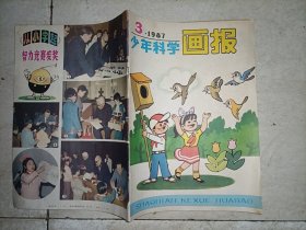 少年科学画报（1987 年3）