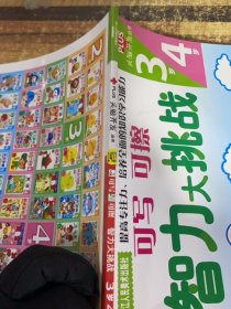 头脑开发丛书：智力大挑战可写可擦