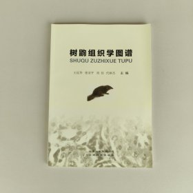 树鼩组织学图谱