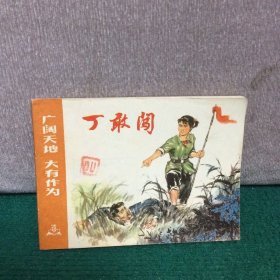 连环画 广阔天地 大有作为 丁敢闯