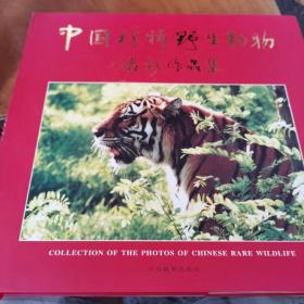 中国珍稀野生动物摄影作品集（1版1印，量仅3千册）1～1～s