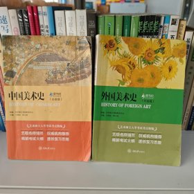 外国美术史、中国美术史（白金版）两册