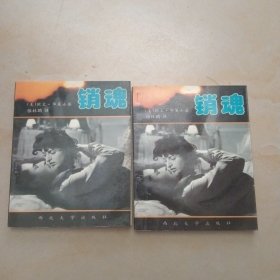 销魂上下