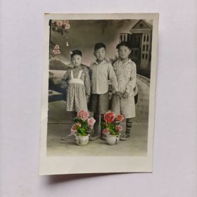 五十年代照相馆手工上色《三兄弟合影照》原版照片一张