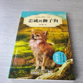 中外动物小说精品（升级版）：忠诚的狮子狗