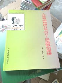 人体简明局部分层与CT层面解剖图谱