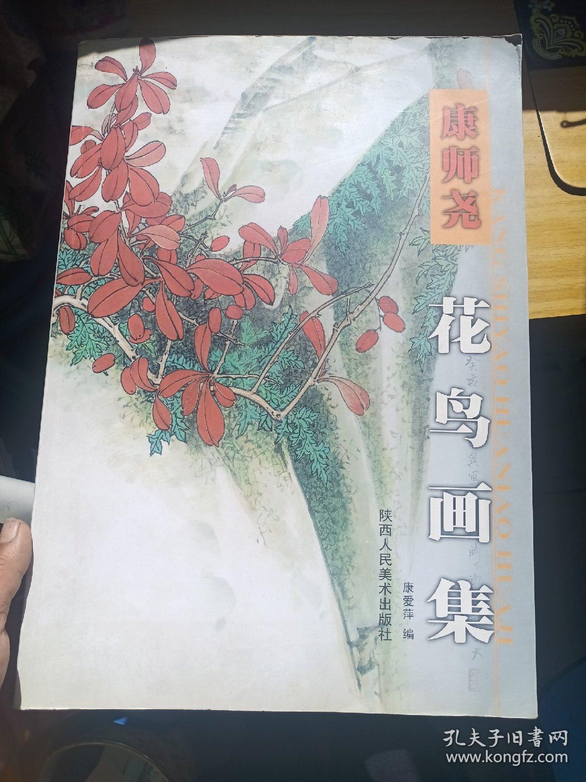康师尧花鸟画集