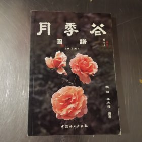 月季花图谱(第2集)