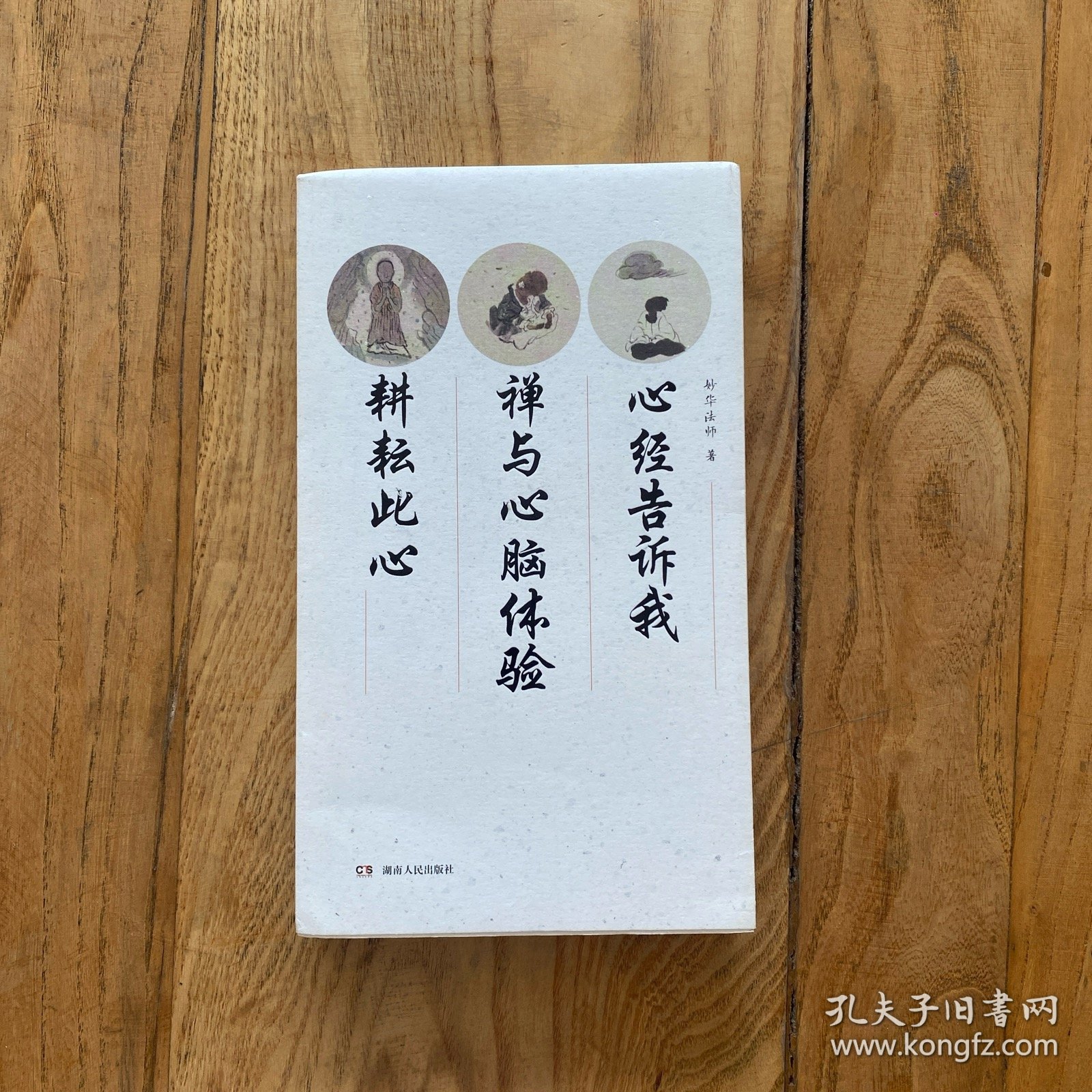 心经告诉我 禅与心脑体验 耕耘此心
