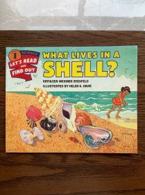 What Lives in a Shell?