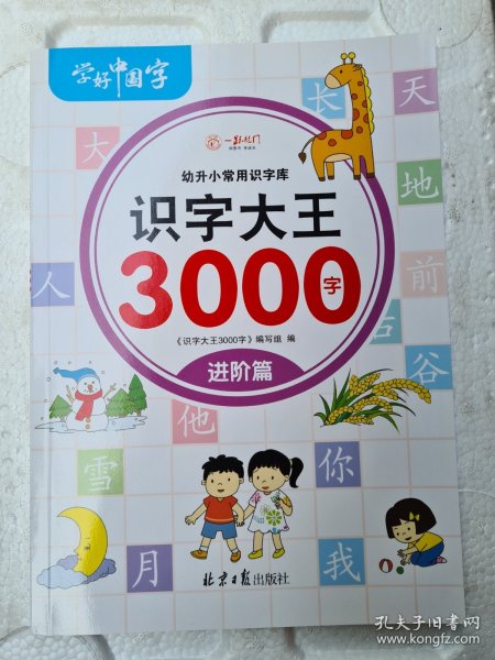 识字大王3000字（全6册）识字书幼儿认字有声伴读3-6岁幼小衔接一日一练象形识字启蒙