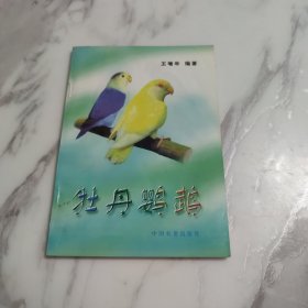 牡丹鹦鹉