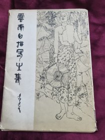 云南白描写生集（活页全40张+前言）共41页（1979年一版一印）8开