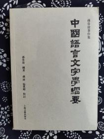 孙常叙著作集：中国语言文字学纲要