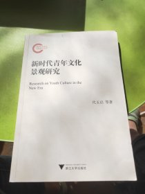 新时代青年文化景观研究