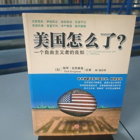 美国怎么了？：一个自由主义者的良知