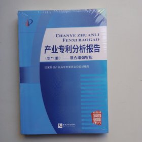 产业专利分析报告（第71册）——混合增强智能