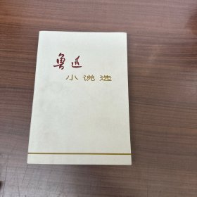 鲁迅小说选