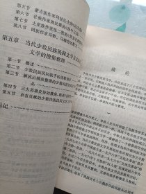 中国当代少数民族文学史稿