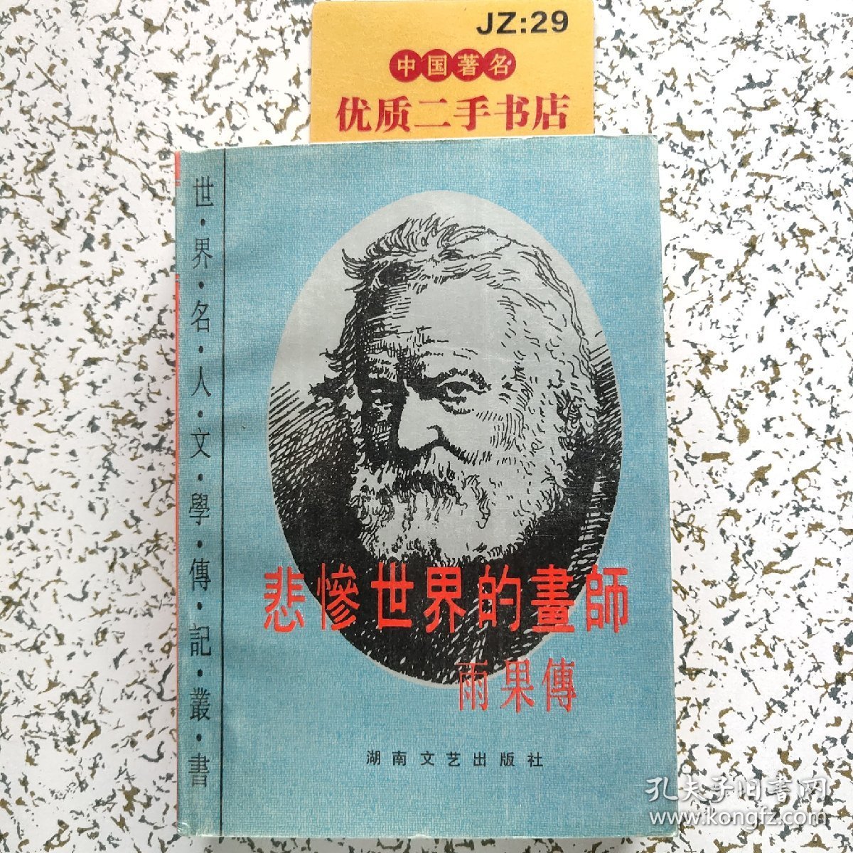 悲惨世界的画师：雨果传
