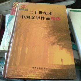 二十世纪末中国文学作品精选[代售]精装北架三格一格