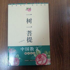 一树一菩提