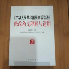 《中华人民共和国民事诉讼法》修改条文理解与适用