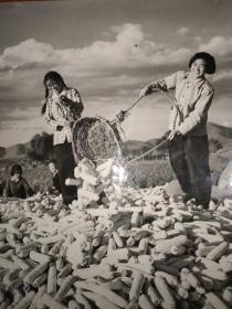 七十年代老照片:场院里的笑声(40.5厘米Х29.5厘米)