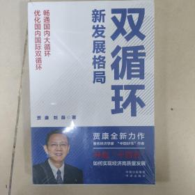 双循环新发展格局