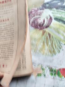 新华月报  一九五0年 第一卷  第六期