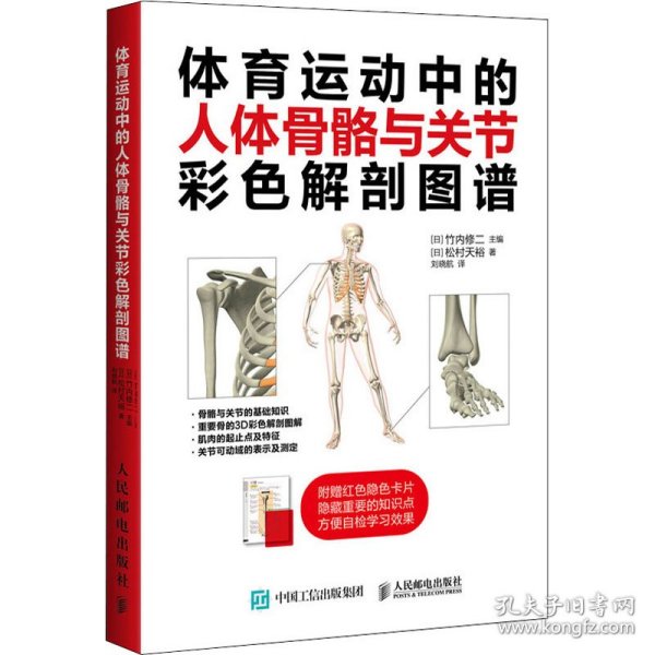 体育运动中的人体骨骼与关节彩色解剖图谱