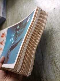 科学画报1987年1-12（全12册）