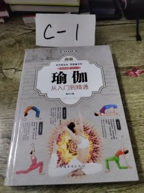 图解瑜伽 : 从入门到精通