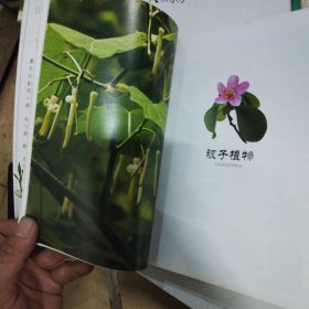 北方药用植物：近600种中国北方药用植物的彩色图鉴