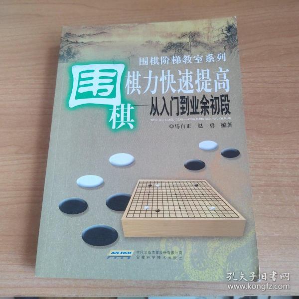 围棋棋力快速提高：从入门到业余初段