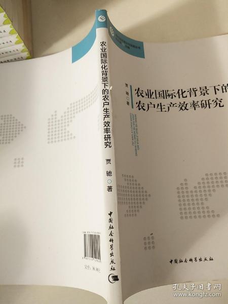 现代经济理论与实践丛书：农业国际化背景下的农户生产效率研究