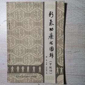 新气功疗法图解 中级功